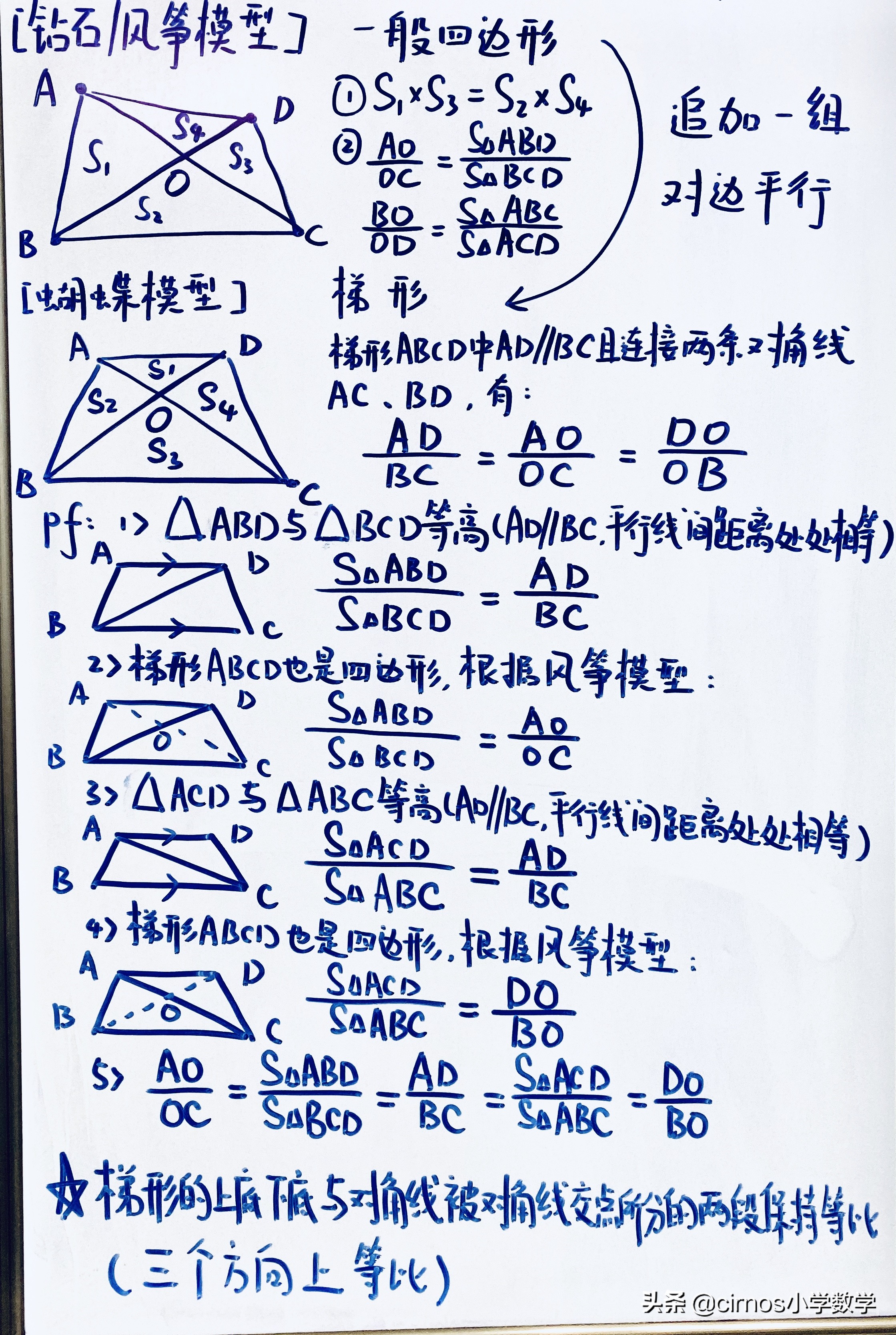 小学三角形面积推理过程,求三角形阴影面积小孩
