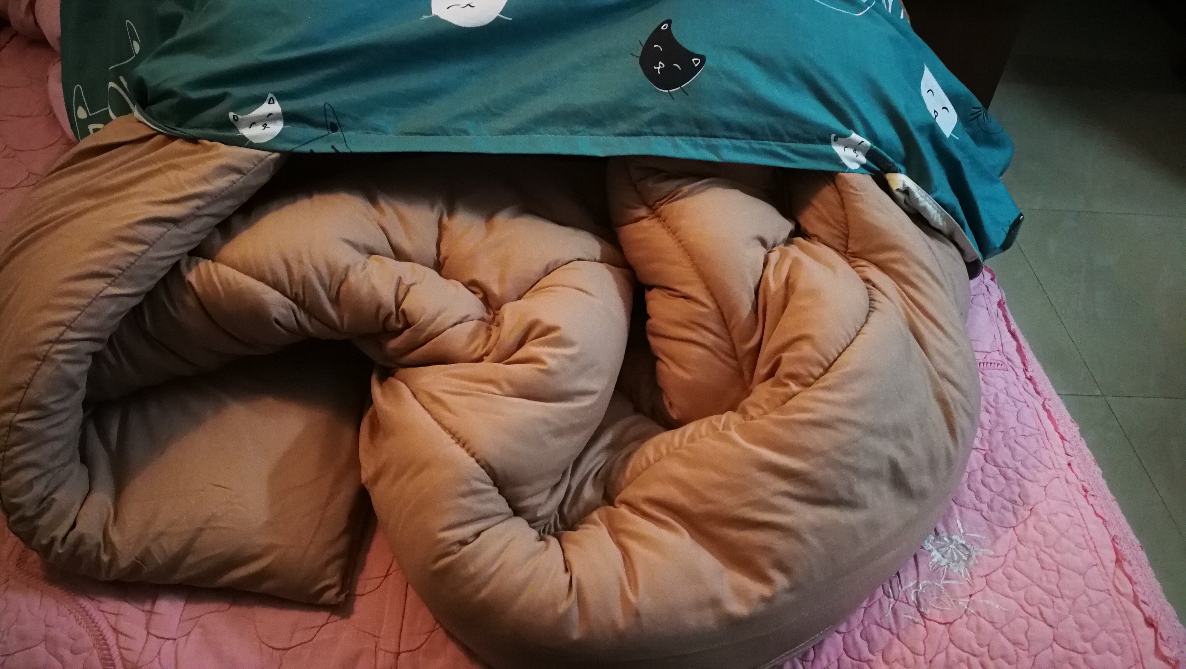 今冬只能自己装棉被了，鸡手鸭脚，还有更难看的吗？