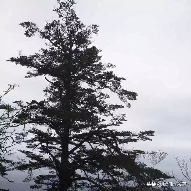 太空是什么色的,太空是什么东西