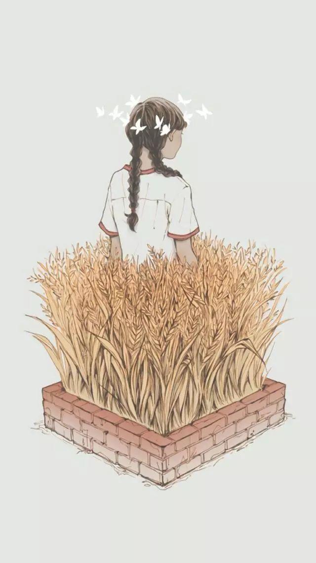 老虎壁纸超清4k手机壁纸iphone,iphone壁纸4k佛像壁纸