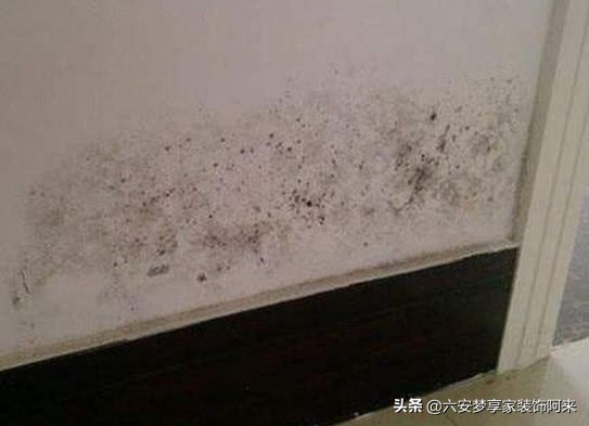 墙面发霉掉灰怎么处理,刚装修的房子墙壁发霉怎么处理