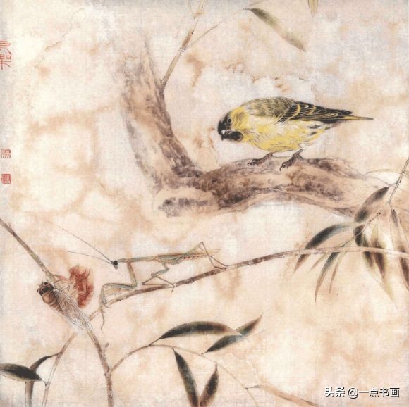 工笔斗方花鸟画图片,工笔花鸟画白描水仙