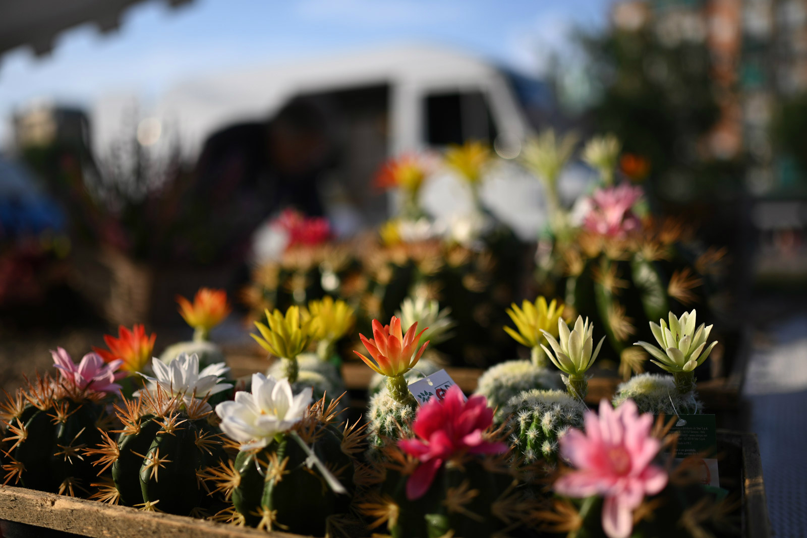 尼康z70-200怎么扫街,尼康z卡口扫街和风光镜头推荐