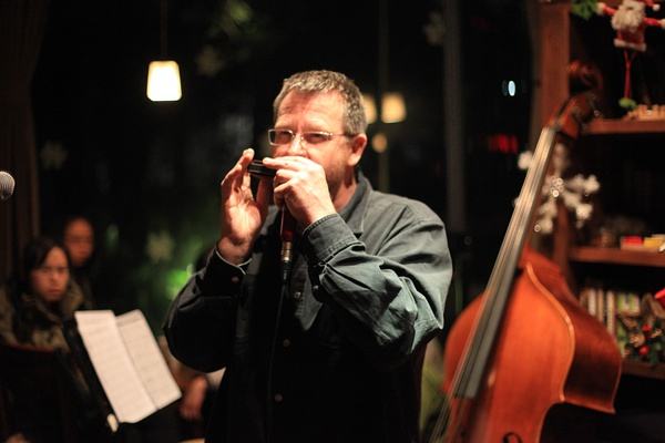 口琴没学过的人会吹吗,口琴为什么不建议自学