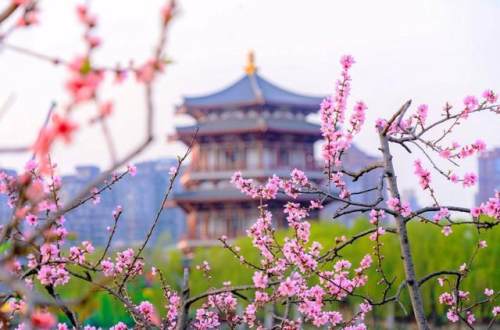 西安的夏天是什么颜色的,西安的春天有多美