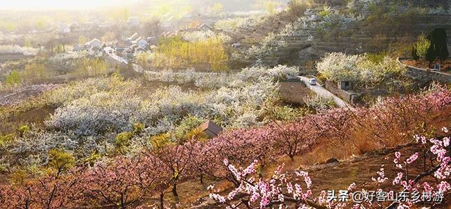 济南市五一假期游玩,济南旅游活动