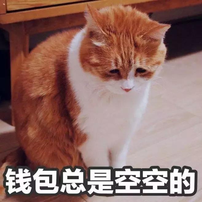 为什么这“一块板子”成了小红书、淘宝爆款?