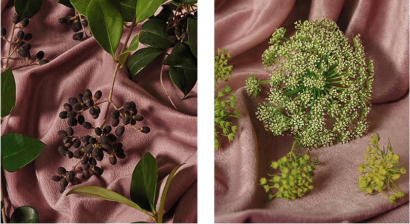 艾小羊香水怎么样,艾小羊完整版视频