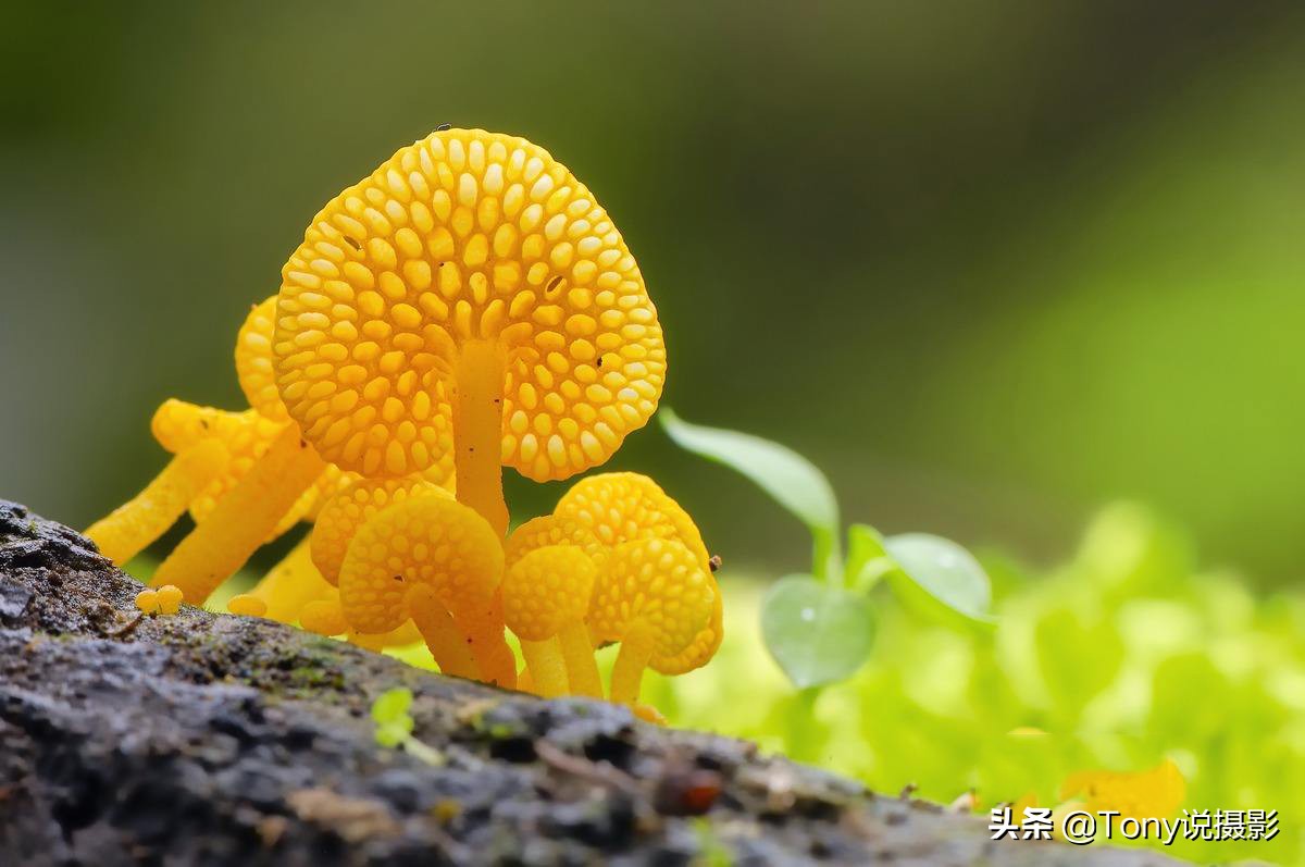 相机错误设置方法,相机拍照问题及解决办法