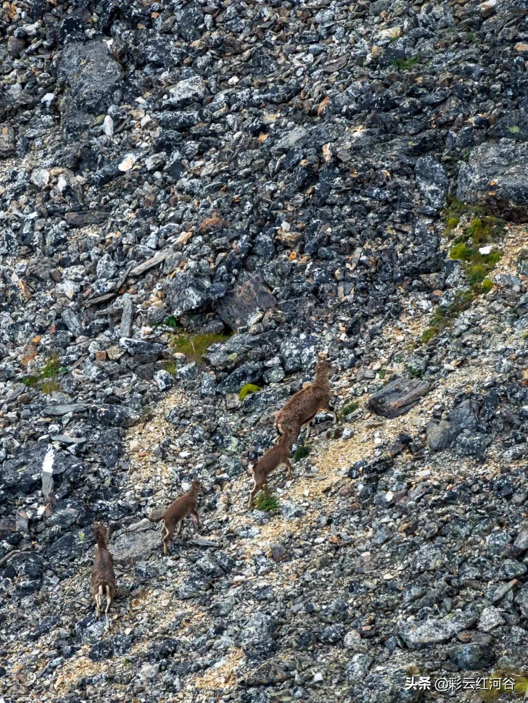 中国云南哪里好看,云南的云彩为什么好看