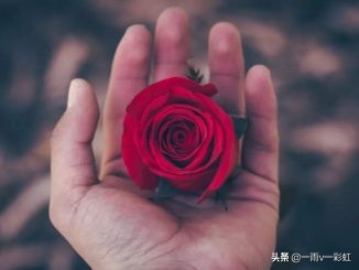 《纽约时报》,纽约时报节选