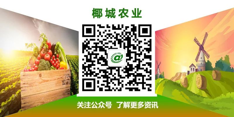 海口哪里卖谷饲澳洲牛肉,现在还有澳洲牛肉进口吗