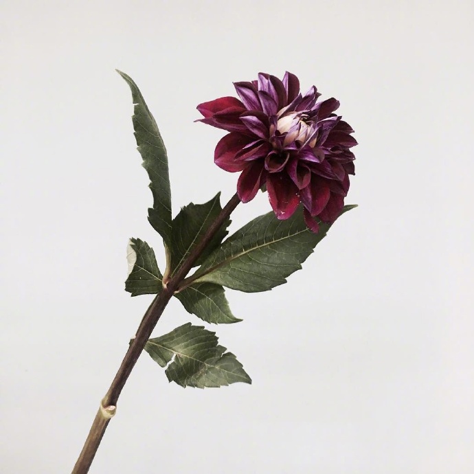 心灵鸡汤短句一句话经典语录,心灵鸡汤经典语录干净短句