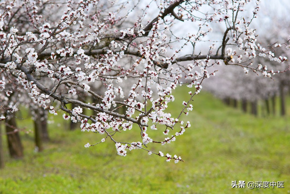 王永炎预测新型冠状病毒,王永炎疫情预测视频