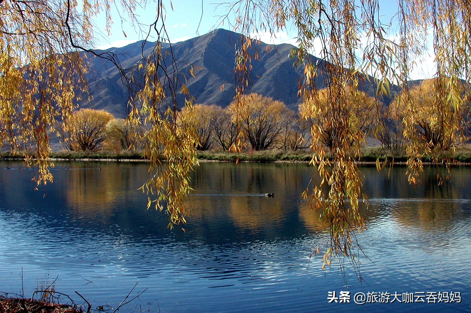 新西兰旅游签证教学,如何办理新西兰旅游签证流程