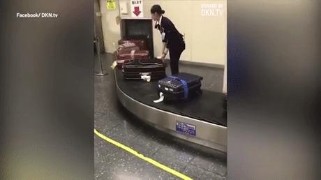 muji设计配色,muji设计logo