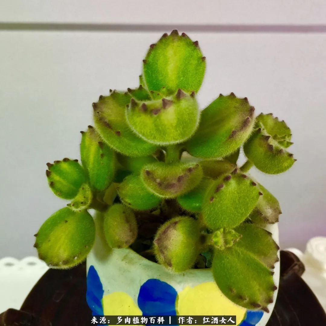 记录走过的美景留下美好的回忆,记录走过的每一段美好时光