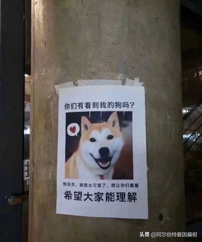 看广告的搞笑段子,电线杆广告搞笑段子