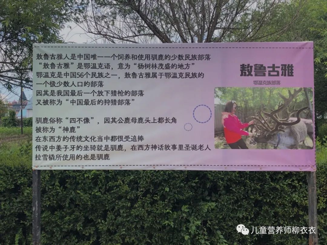 暑假内蒙古旅游攻略亲子,暑假亲子游玩内蒙古5天4夜