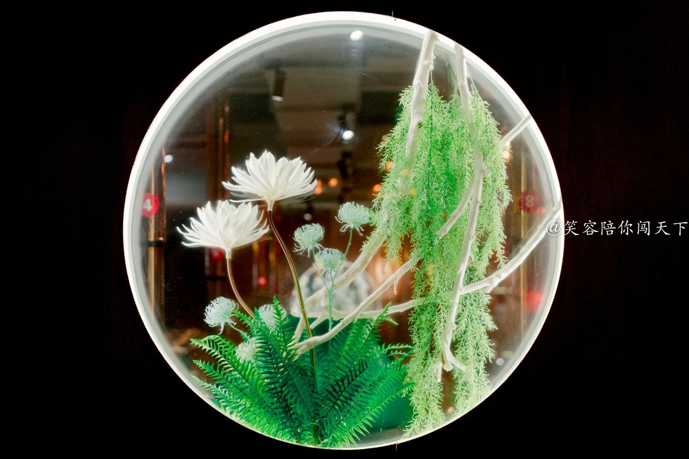 求推荐成都春熙路附近好吃的火锅,成都北平楼老北京涮羊肉自助火锅