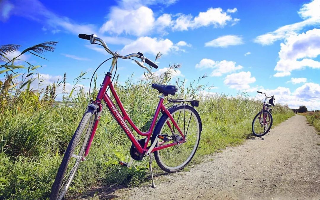 提升骑行水平的技巧有哪些,提升自行车骑行速度技巧
