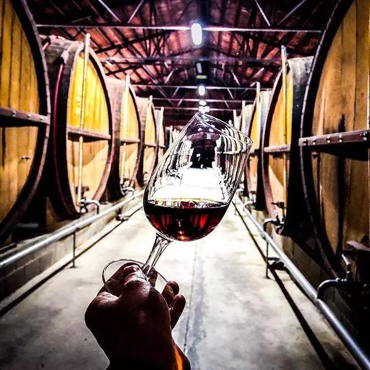 这种细思极恐的“橡木桶老汤”,造就了一众世界名酒