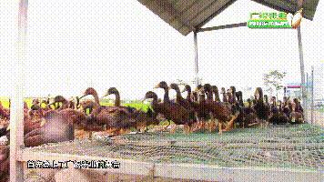 中国用了占世界多少的耕地,我国用占世界百分之几的耕地