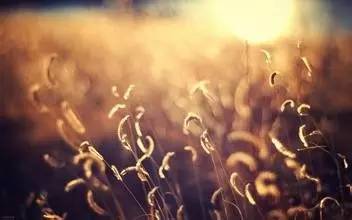 10个幽默段子故事很短哲理很深,每日幽默正能量小故事