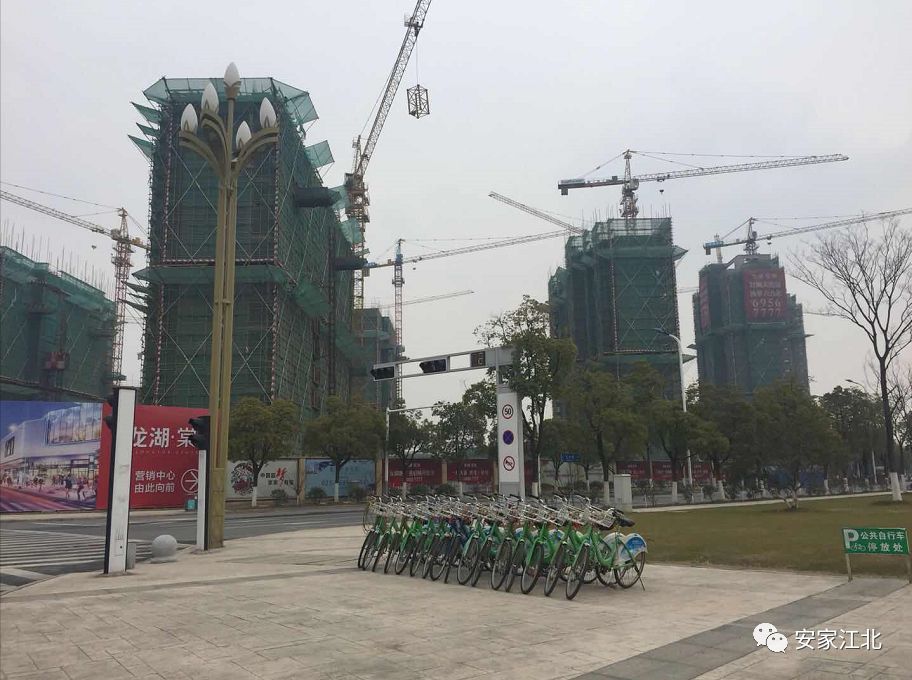 北京东路小学开发区分校,北京东路小学分校紫金分校怎么样