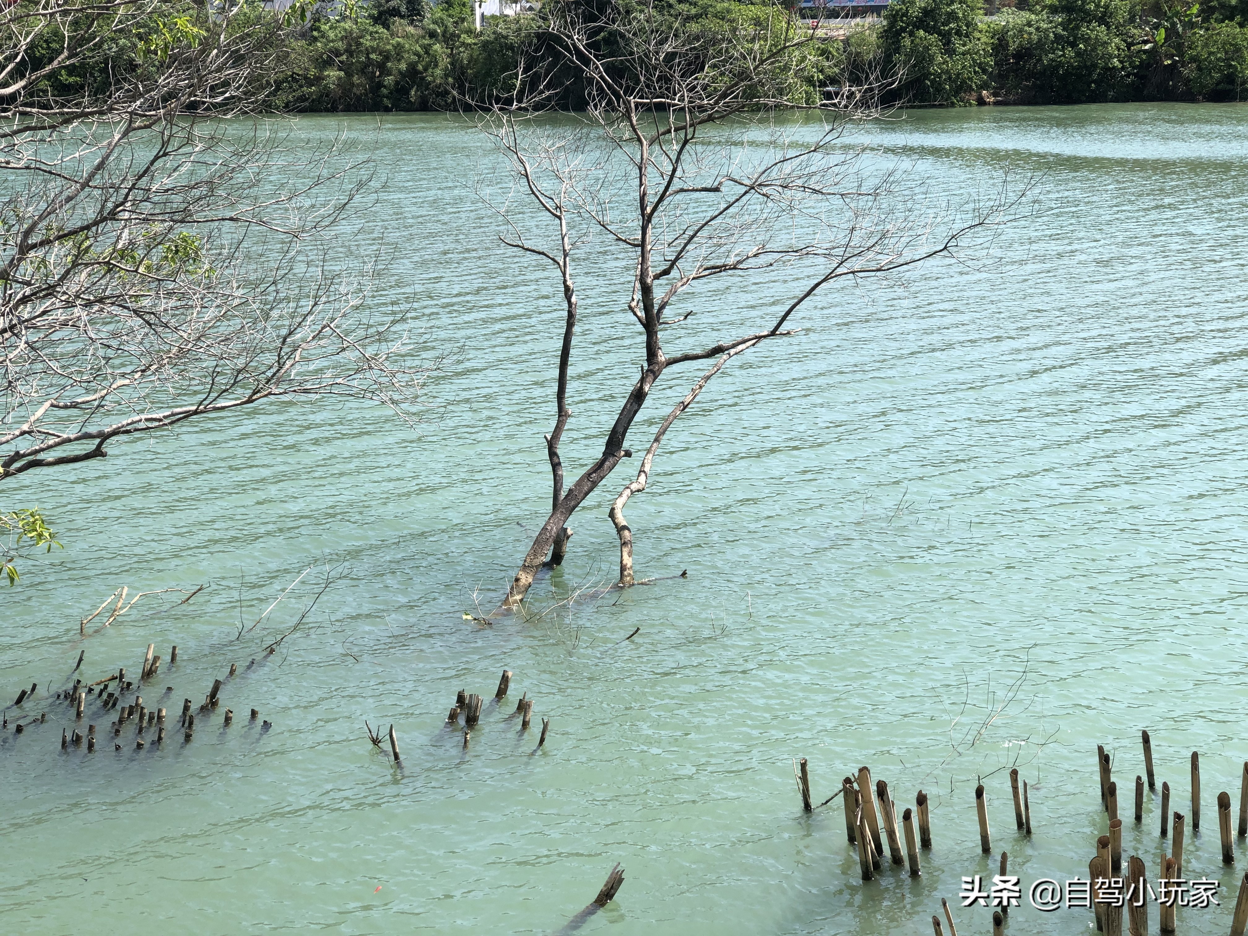 百里画廊风景区评价,从化百里画廊人少景美