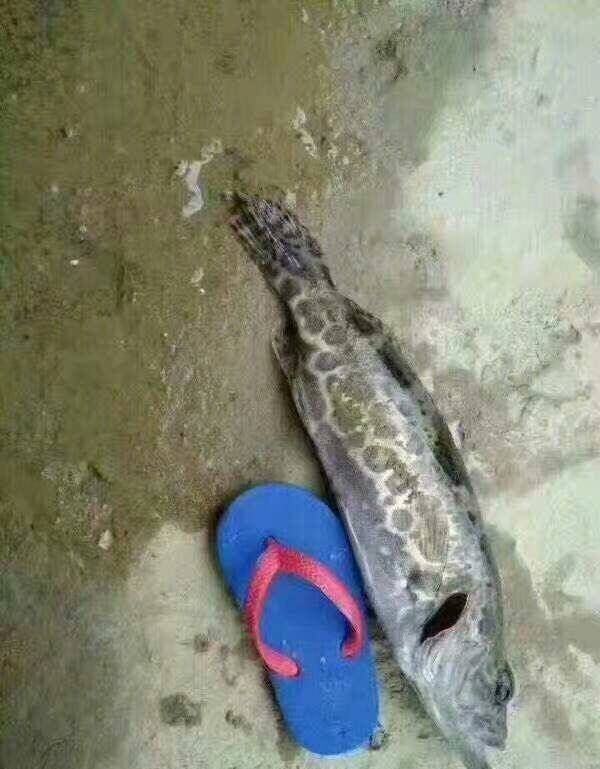 淘宝上的万能商品有哪些,淘宝上超好用的东西