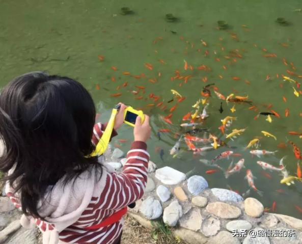 618必入母婴大件好物,618推荐好物宝宝用品