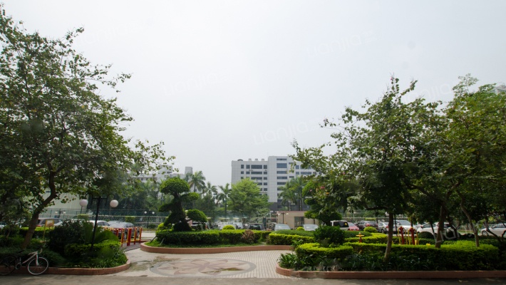 西乡的房子值得买吗,西乡买房需要些什么