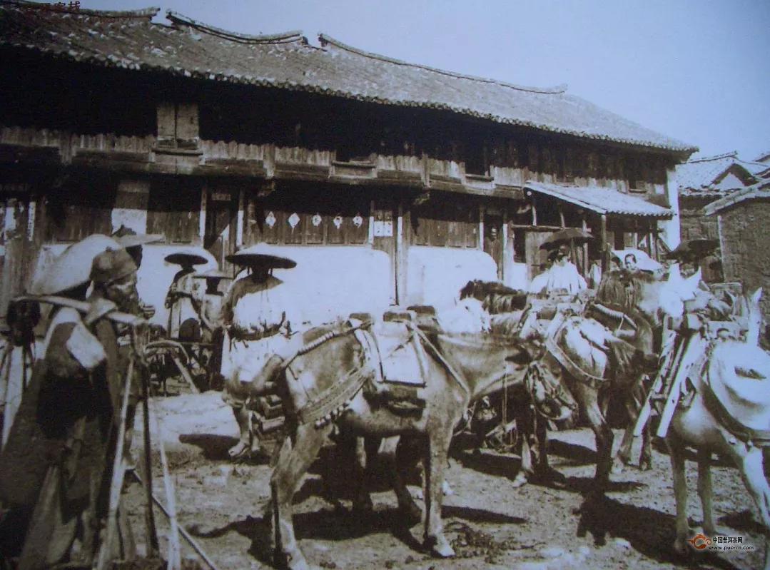 云南凤庆滇红茶哪家正宗,云南凤庆县滇红茶什么时候出