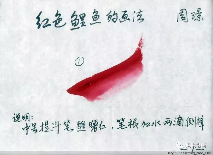 工笔画花鸟入门教程步骤图,国画教学工笔花鸟燕子的重彩画法