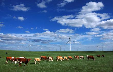 内蒙古赤峰旅游攻略路线推荐,自驾游内蒙古赤峰旅游攻略