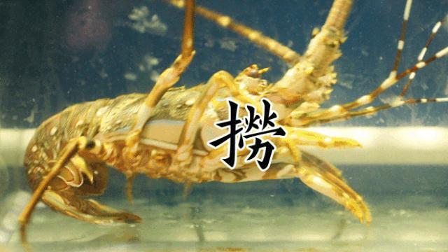 不务正业的“居酒屋”，吃完会变美！