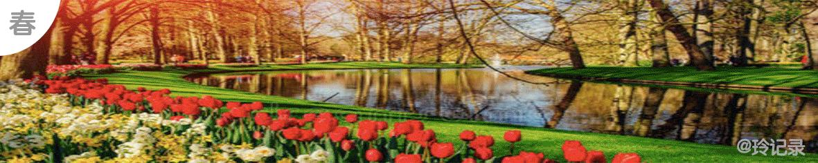 网贷借呗欠20万自救方法,欠了十几万网贷还不起了怎么办