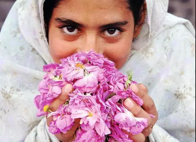 德国安娜柏林旗舰店,安娜柏林双蜜精华