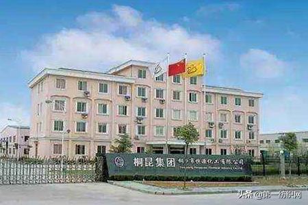 桐昆股份投资500亿项目,桐昆股份耗资亿元回购