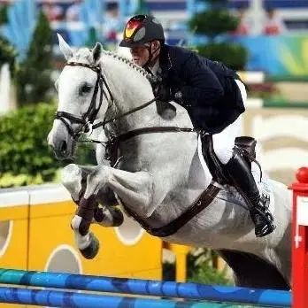 十四运马术室内场馆面积,十四运马术场馆