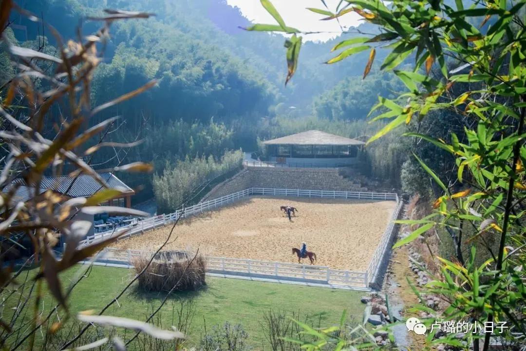 度假胜地推荐享受悠闲度假时光,国庆假期必打卡度假胜地