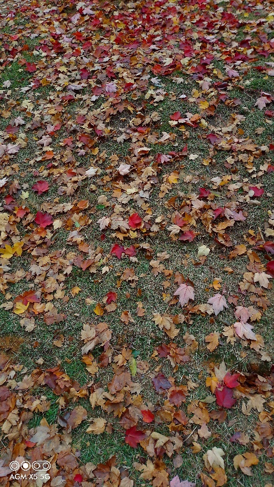 agm三防手机x5,户外手机agmx5