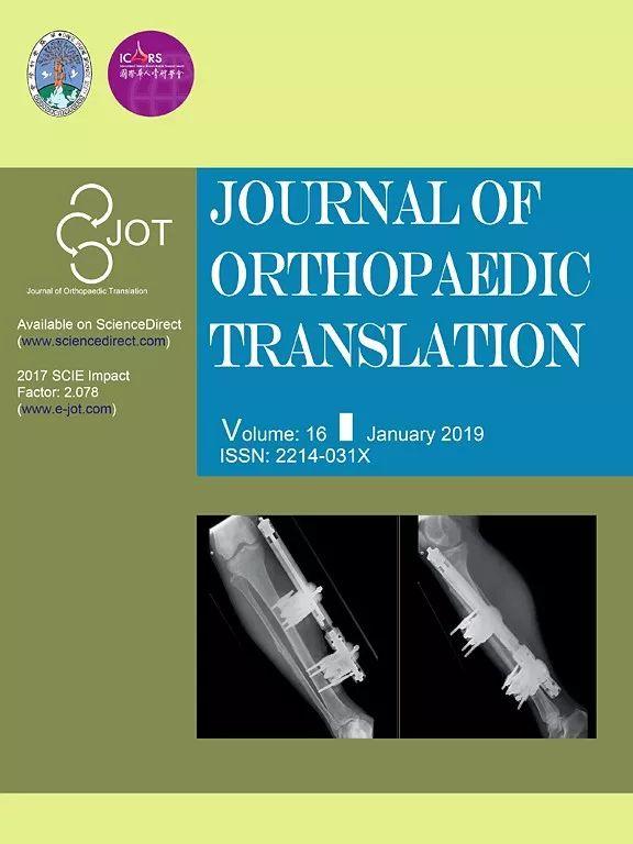 纪念第一次发sci综述,膝盖还好吗