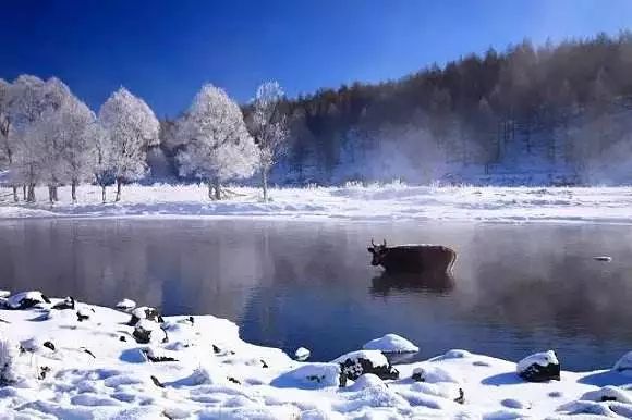 冬日必去赏雪胜地,冬日游必去的地方