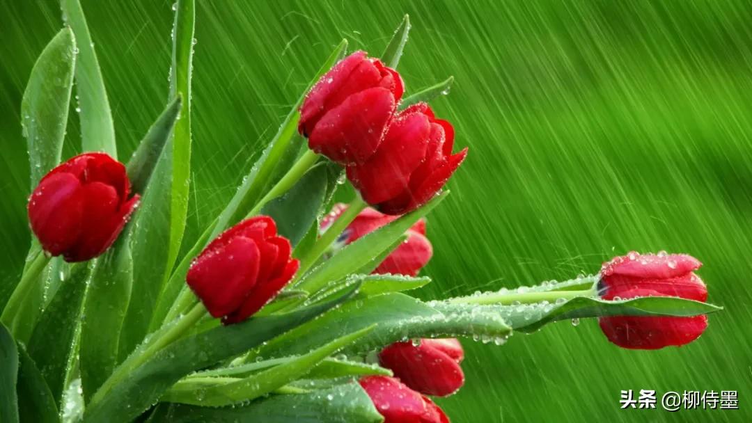 古风摄影用照片演绎古诗词,古诗词摄影技巧