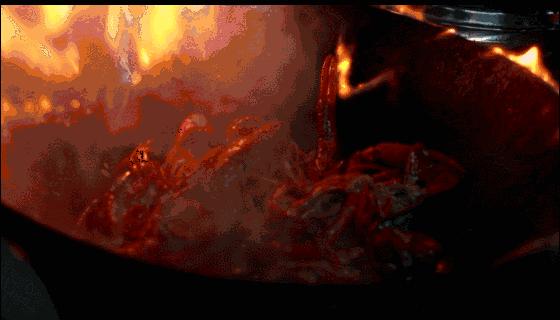 为什么感觉有机核桃油是智商税,买核桃油有必要买加dha的么