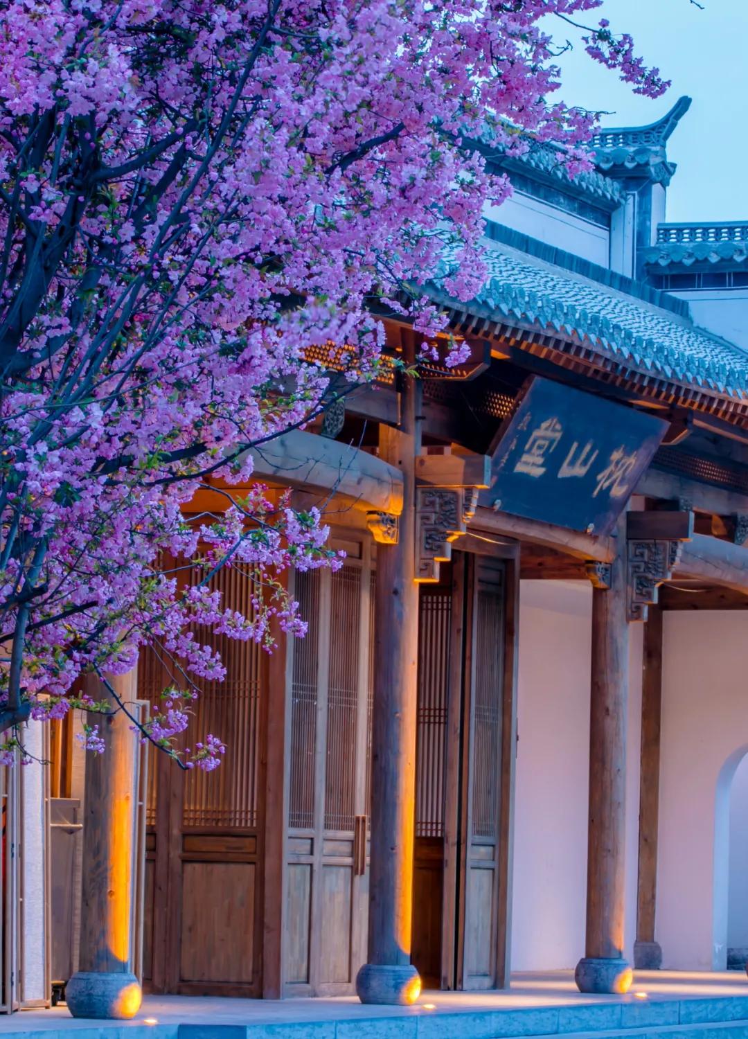 打卡济南夜色,济南夜泉城打卡地点