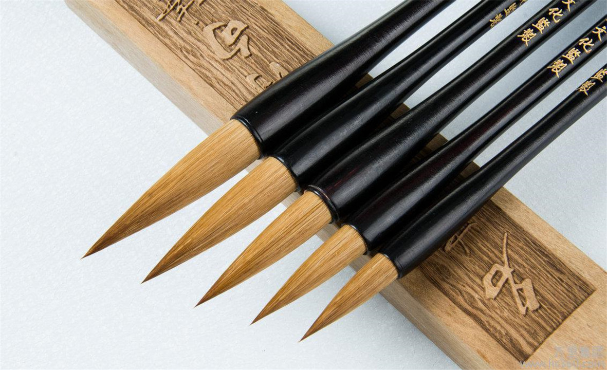 养殖户怎么防止黄鼠狼,黄鼠狼为什么不能大量养殖