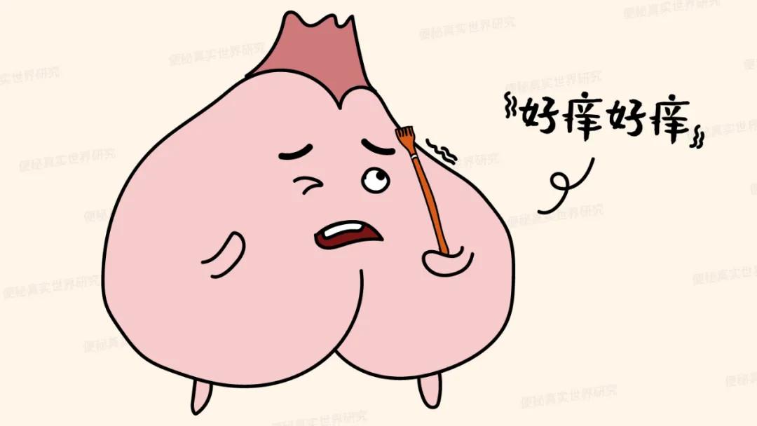 菊部瘙痒,菊部瘙痒是有虫吗